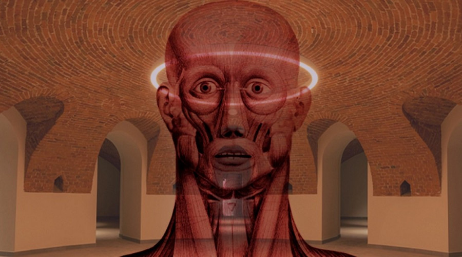 somewhereaccademia-in-chiaroscuroslider.jpg
