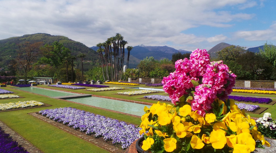 somewheretour-lago-maggiore-full-day-tour-da-torino-villa-taranto-fiori.jpg