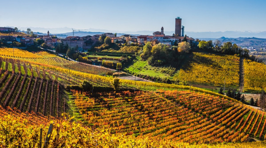 somewheretour-langhe-castelli-weekend-passeggiata-vigne.jpg