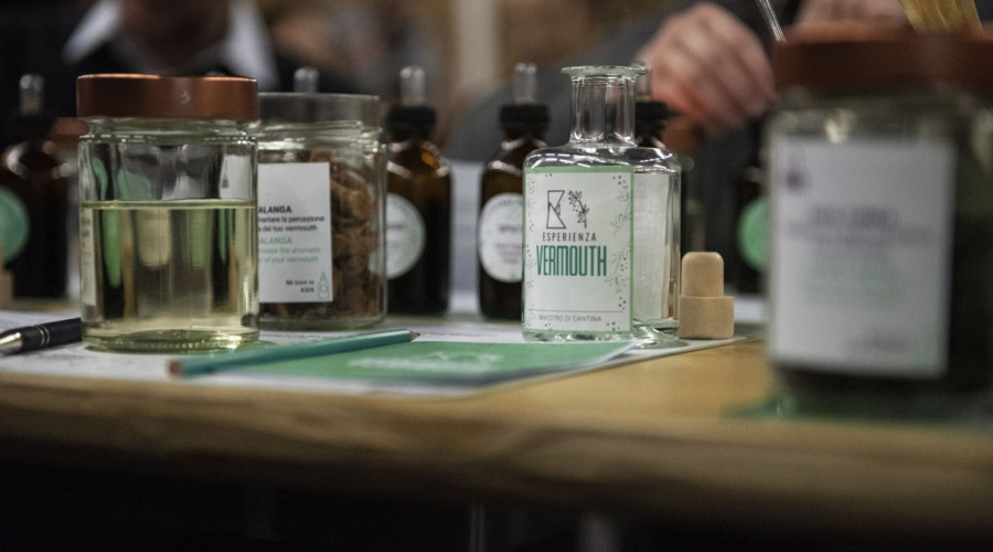 somewheretoursesperienzavermouth-2-5686.jpg