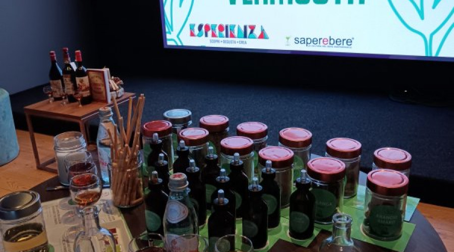 somewheretoursesperienzavermouth-7.jpg