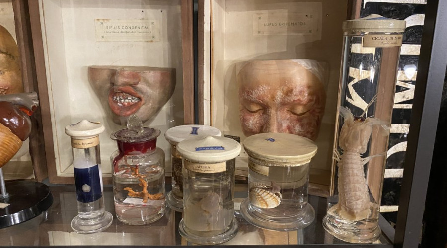 somewheretourstorinohorrorstory-43.jpg