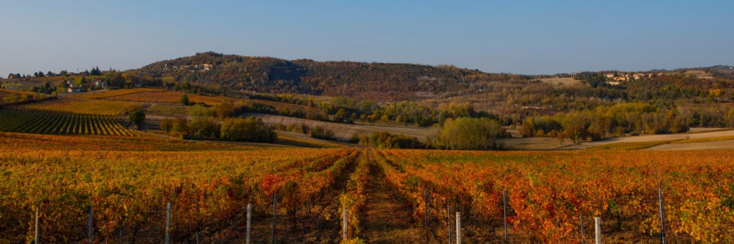 Sulle Tracce di Don Bosco Tra spiritualità, colline e vini del Monferrato 
