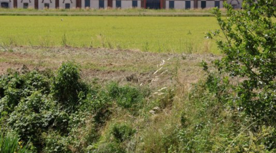 tenuta-darola-trino-4.jpeg