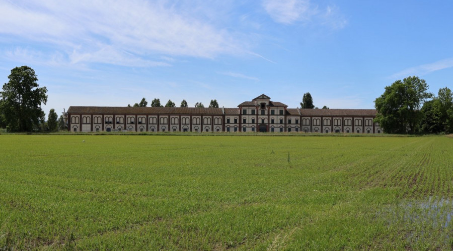tenuta-darola-trino-6.jpeg