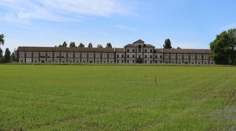 tenuta-darola-trino-7.jpeg