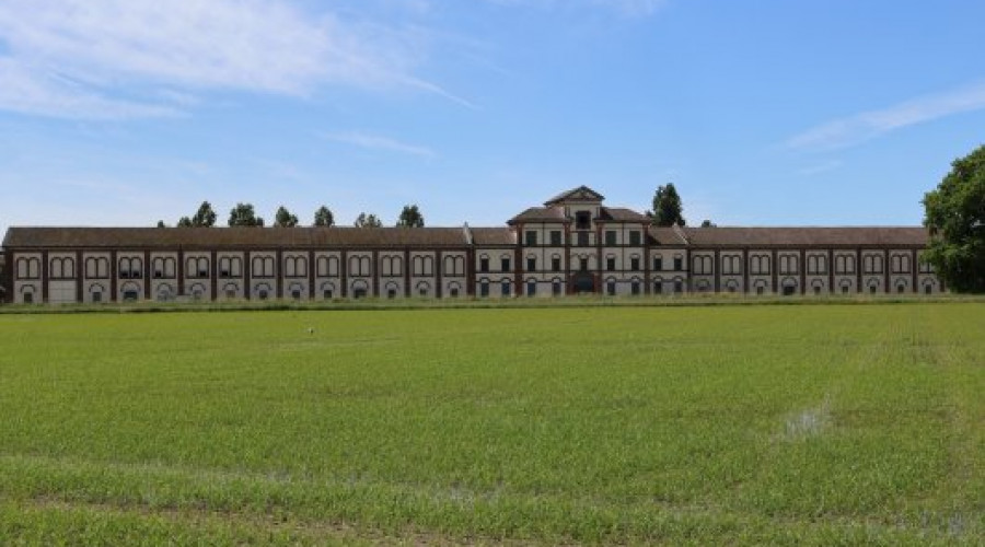 tenuta-darola-trino-8.jpeg