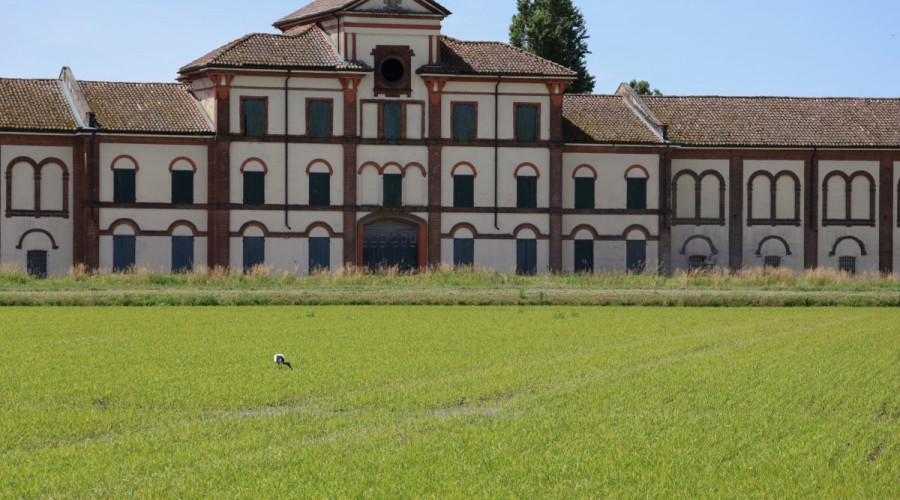 tenuta-darola-trino-9.jpeg