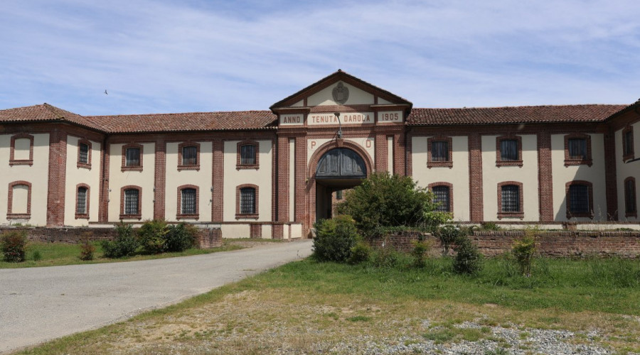 trino-tenuta-darola-2.jpeg