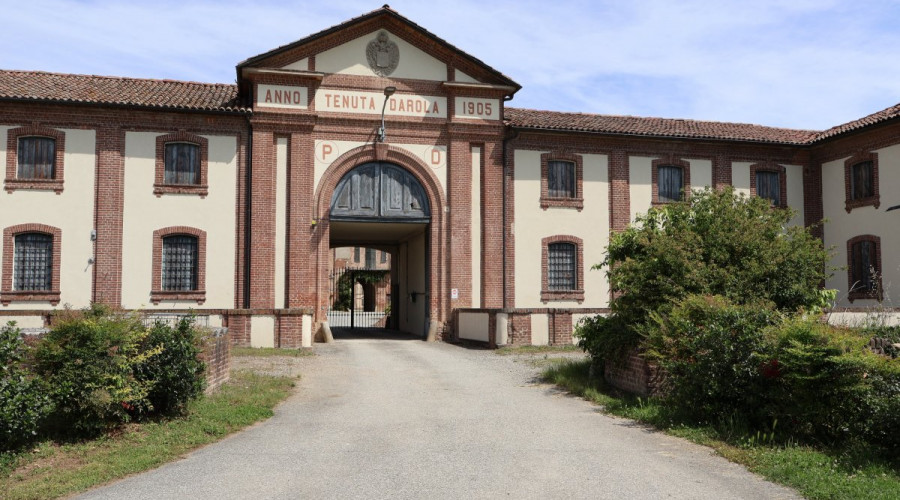 trino-tenuta-darola-3.jpeg