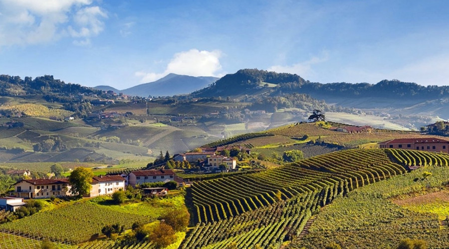 weddinglanghe02-1436x900-5184.jpg
