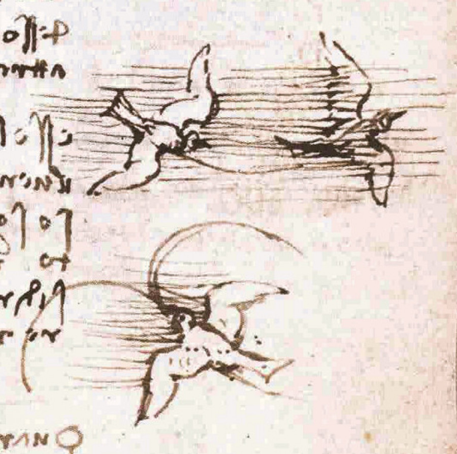 Il Codice sul Volo degli Uccelli di Leonardo da Vinci. SvelaTo by